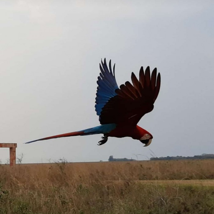 Excursion d une journée dans le parc national des Esteros del Ibera