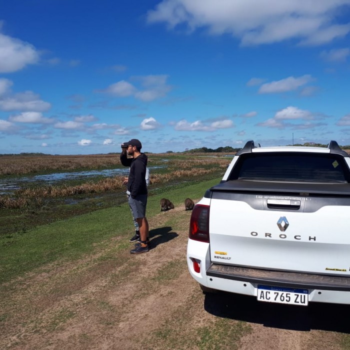 Excursion d une journée dans le parc national des Esteros del Ibera